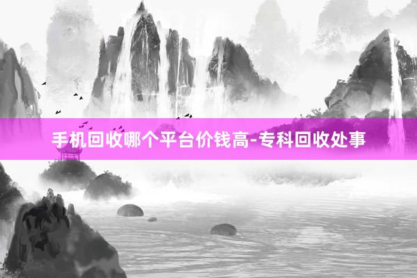 手机回收哪个平台价钱高-专科回收处事